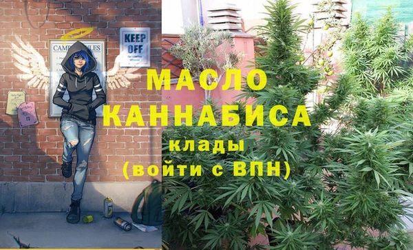 прущий лед Бородино