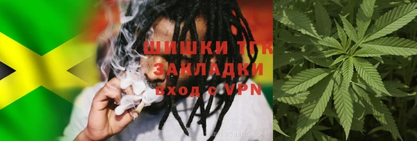 прущий лед Бородино