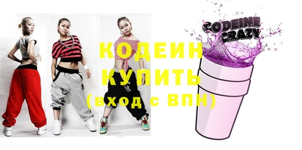прущий лед Бородино