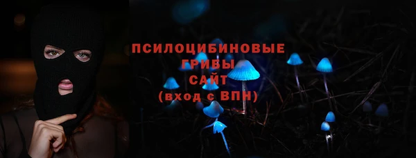 прущий лед Бородино
