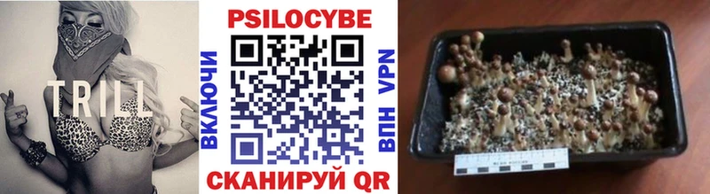 как найти наркотики  Нелидово  ОМГ ОМГ ссылка  мориарти как зайти  Псилоцибиновые грибы мицелий 