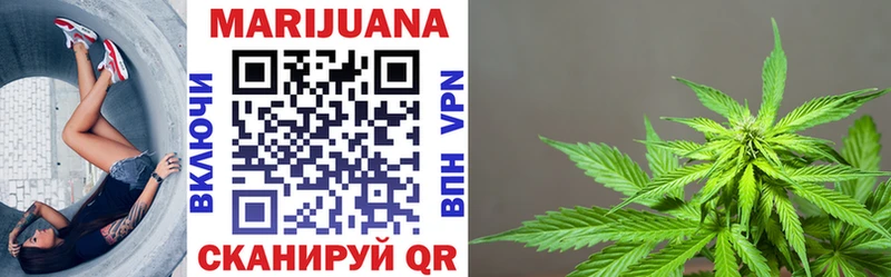 где продают   Нелидово  Шишки марихуана ГИДРОПОН 